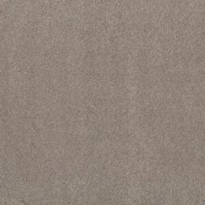 LIVE ON COMFORT by Shaw Floors - Afterglow
