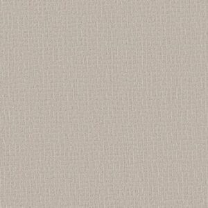 PATH HOME by Shaw Floors - Snowfall
