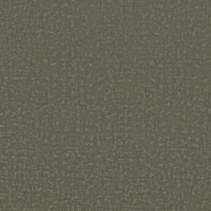 HOME WITHIN by Shaw Floors - Rerooted Nature