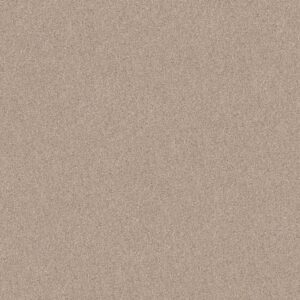 LIVE ON COMFORT by Shaw Floors - Palm Desert