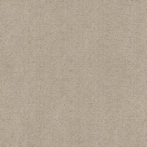 INTRICATE TRACE by Shaw Floors - Warm Light