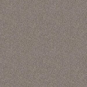 CALM SIMPLICITY II by Shaw Floors - Washed Linen