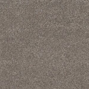WITHIN REACH II by Shaw Floors - Kidskin