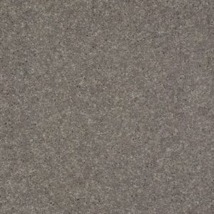 BEAUTIFULLY SIMPLE II 12 by Shaw Floors - Thunder