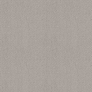 NATURALISTIC by Shaw Floors - Silver Lining