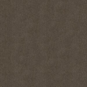 BOUNDLESS III by Shaw Floors - Chestnut Ridge