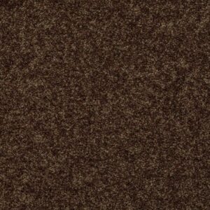 BREAK AWAY (S) by Shaw Floors - Coffee Bean