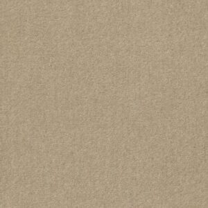 HEROIC by Shaw Floors - Spanish Sand