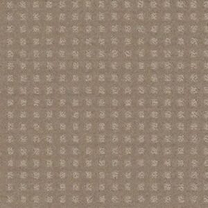 MADE TO BE YOURS by Shaw Floors - Chameleon