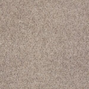 TAKE THE FLOOR ACCENT I by Shaw Floors - Everest