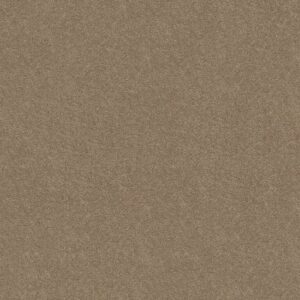 BEAUTIFULLY SIMPLE I 12 by Shaw Floors - Honeycomb