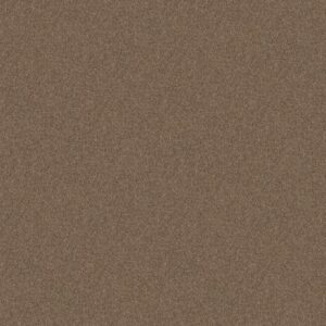 ESSAY II 12' by Shaw Floors - Fawn