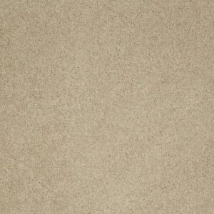 CASHMERE IV by Shaw Floors - Romney Marsh