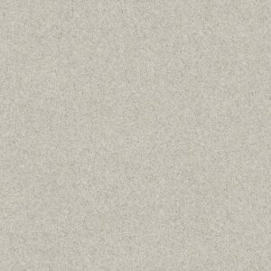 QUIET COMFORT CLASSIC III by Shaw Floors - Spearmint