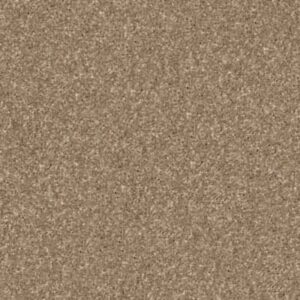 QUIET COMFORT CLASSIC I by Shaw Floors - Pebble Path