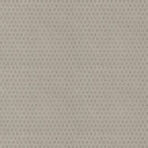 MY EXPRESSION by Shaw Floors - Crete