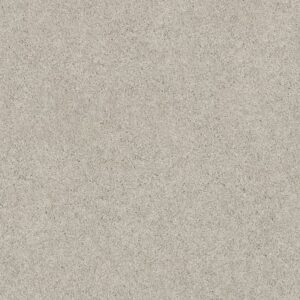 QUIET COMFORT CLASSIC III by Shaw Floors - Froth