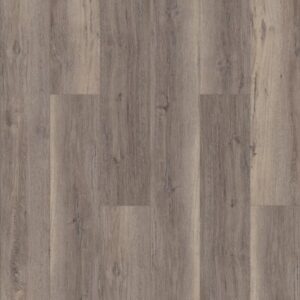 Intrepid HD Plus by Shaw Floors - Silver Oak