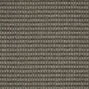 CABRIO by Shaw Floors - Stylish Gray