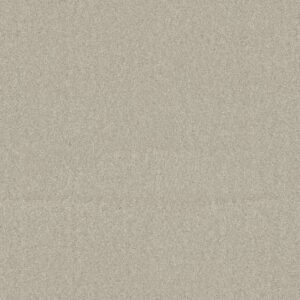 WHAT'S UP by Shaw Floors - Doeskin