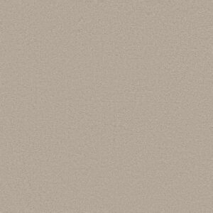 CASHMERE CLASSIC III by Shaw Floors - Sterling