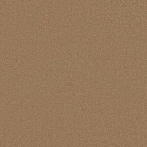 CASHMERE CLASSIC III by Shaw Floors - Brass Lantern