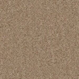 CASHMERE CLASSIC II by Shaw Floors - Pebble Path