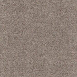 FIND YOUR COMFORT TA II by Shaw Floors - Bocce' Ball Gam