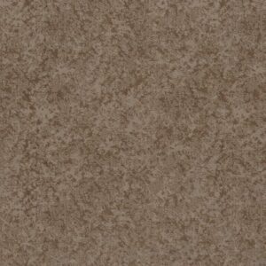 STATE OF MIND by Shaw Floors - Tumbleweed