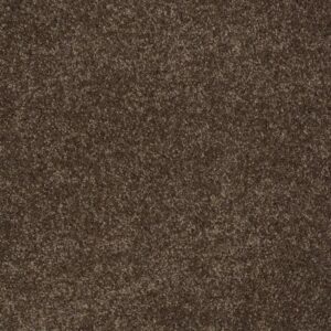 MAJORITY RULES by Shaw Floors - Sedona