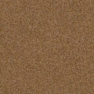 ORIGINS by Shaw Floors - Leather Bound