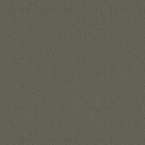 GENESIS by Shaw Floors - Pewter