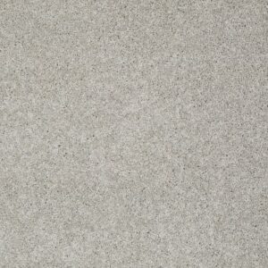 MY CHOICE I by Shaw Floors - Ash