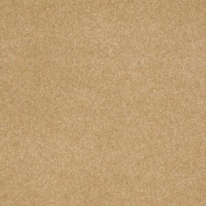 SANDY HOLLOW CLASSIC IV 12' by Shaw Floors - Cork