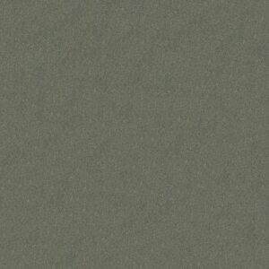 MY CHOICE III by Shaw Floors - Silver Sage