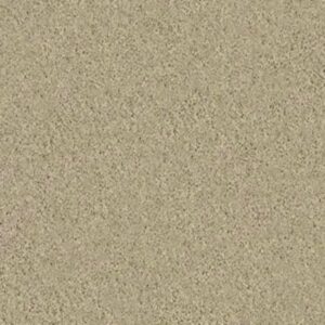 MY CHOICE II by Shaw Floors - Beach Walk