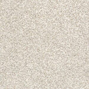 DEVON CLASSIC I by Shaw Floors - Valley
