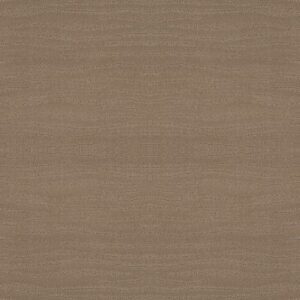 CAPISTRANO by Shaw Floors - Sierra Hills