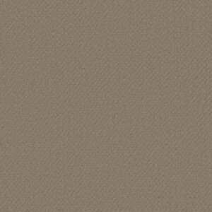 DEL VISTA by Shaw Floors - Shitake