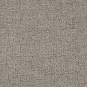 ONE MORE HOUR by Shaw Floors - Foggy Day