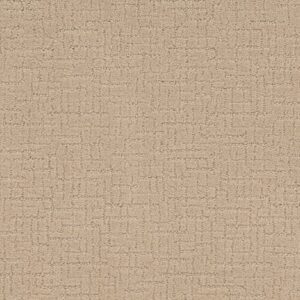 ONE MORE HOUR by Shaw Floors - Halo