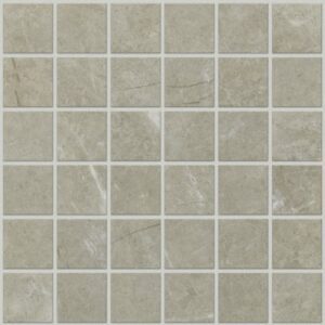 VISIONARY MOSAIC by Shaw Floors - Oasis