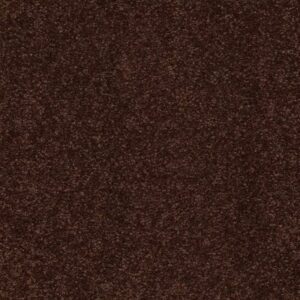 SHINGLE CREEK III 15' by Shaw Floors - Coffee Bean