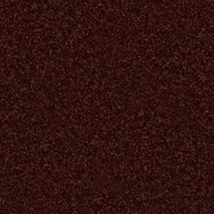 OCEAN PINES 12' by Shaw Floors - Chianti