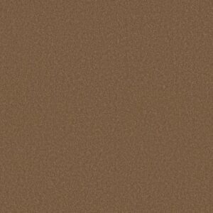 SHINGLE CREEK I 12 by Shaw Floors - Windmill