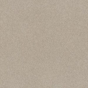 COZY HARBOR I by Shaw Floors - Sandstone