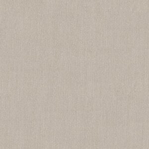TRANQUIL WATERS by Shaw Floors - Soft Spoken