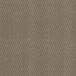 CATHEDRAL HILL II by Shaw Floors - Canyon Clay