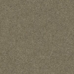EXPLORER by Shaw Floors - Stormy Weather