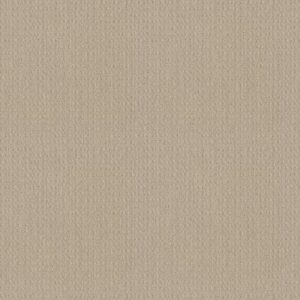 ESSENTIAL NOW by Shaw Floors - Butter Cream